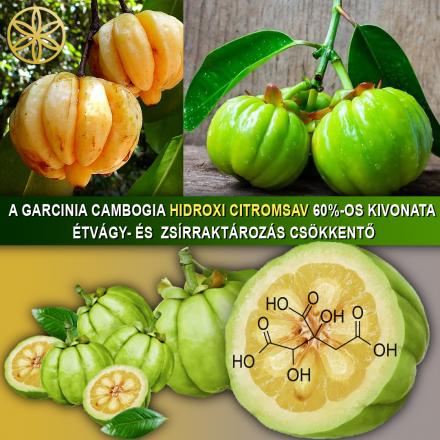 Hidroxi Citromsav
